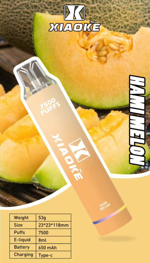 梟客抛棄式7500口 ✨可充電🔋限時活動 💖女生首選【滿7送1】